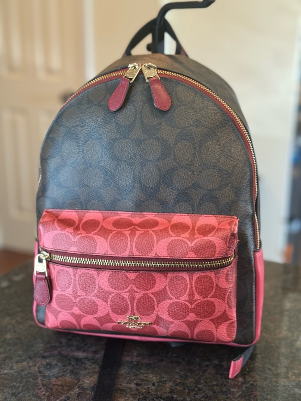 Coach Brown and Pink Signature Backpack